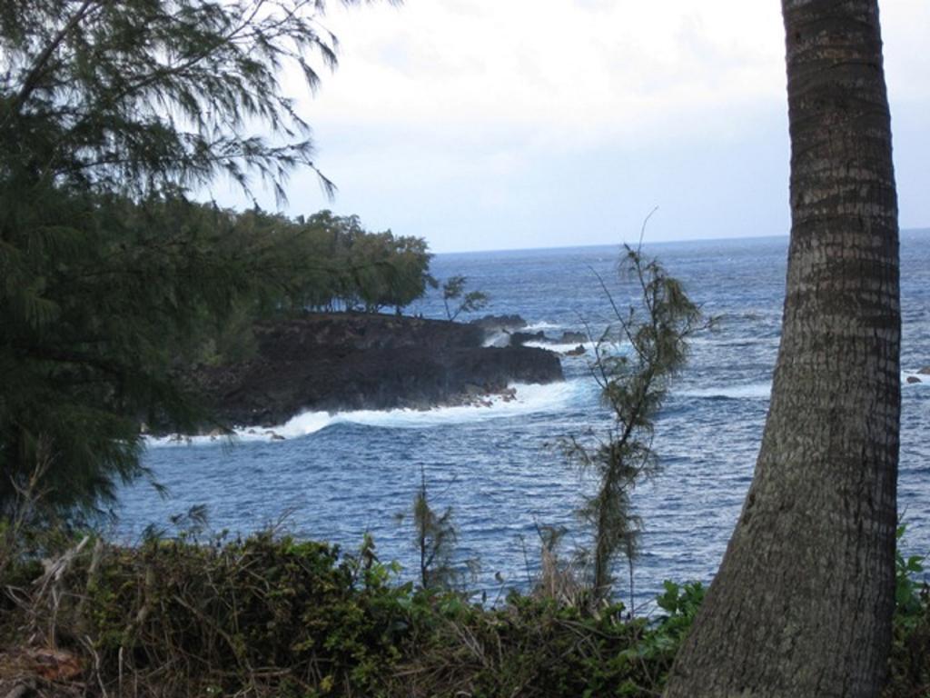 Coconut Palms Vacation Rental Near Lava Fields And Beaches Kehena Exterior foto