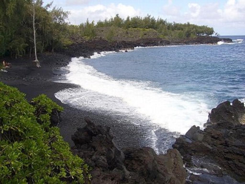 Coconut Palms Vacation Rental Near Lava Fields And Beaches Kehena Exterior foto